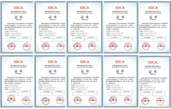 恭喜，，，，重庆首批10家单位通过软件服务商交付能力评估